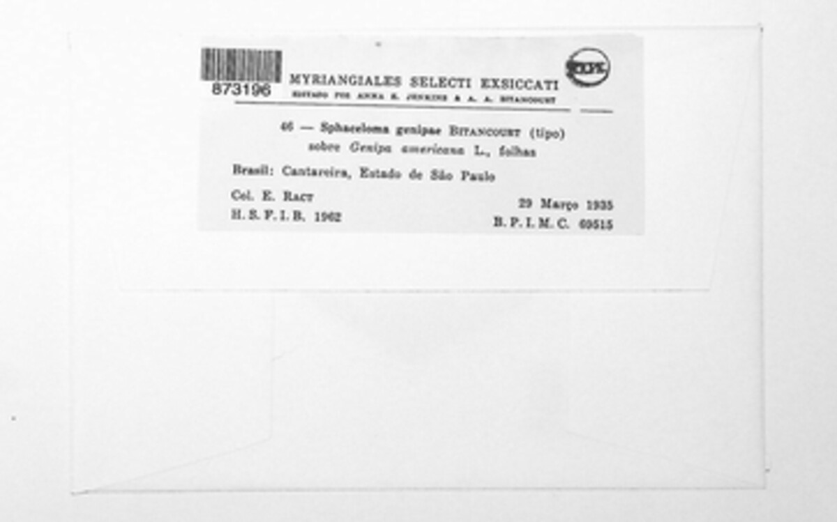 Sphaceloma genipae image